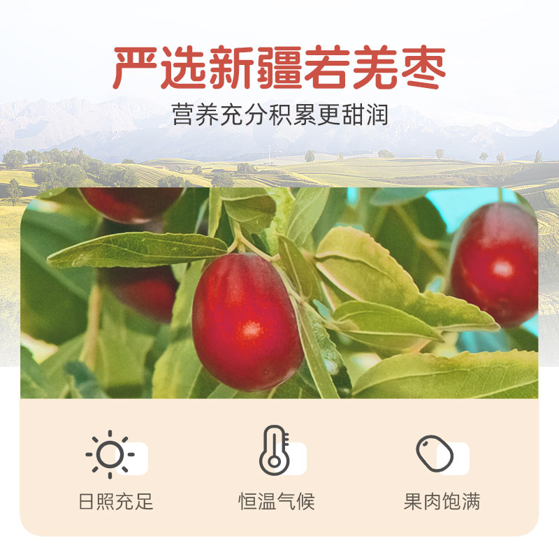 贝氏红枣牛奶燕麦片营养早餐即食冲饮独立小条装代餐饱腹懒人冲泡