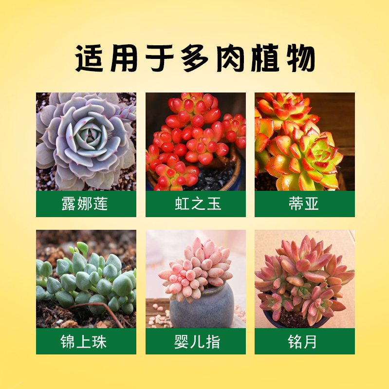 优芽素多肉专用促生长催芽植物发芽素素营养液兰花爆芽素免稀释,淘宝优惠券,粉丝福利购,淘宝优惠卷