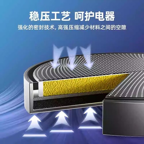 丹尼富夜光漂CR2032夜钓鱼通用311电子322大肚漂cr425浮漂316电池 - 图2