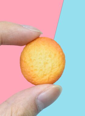 微缩食玩仿真曲奇饼干饰品配件