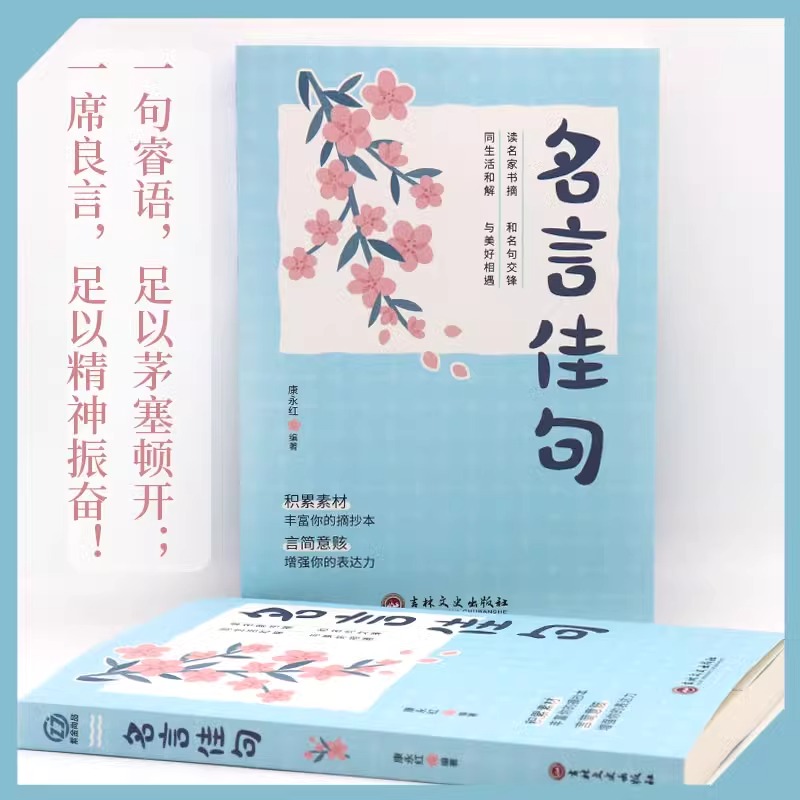 全套2册 名言佳句感悟人生书籍文案小辞典小词典格言警句书大全哲学励志书籍正能量经典语录名人书心灵鸡汤句子迷珍藏全集课外 - 图0