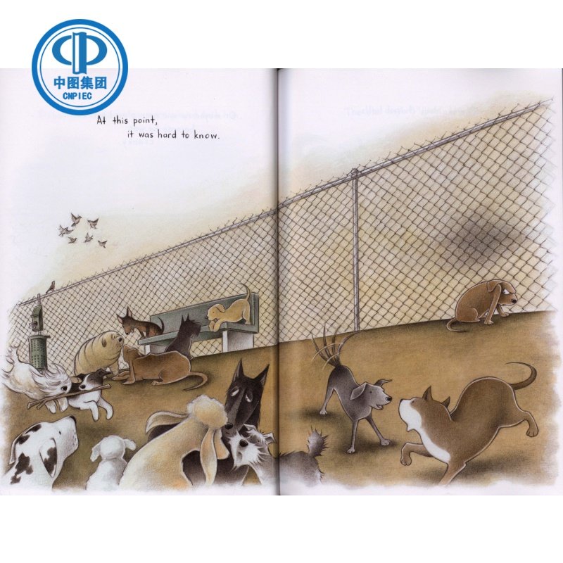 现货英文原版 Little Brown精选绘本儿童读物_虎窝淘