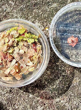 日系ins风迷你美甲干花blc同款混彩天然押花干燥花花苞穿戴甲饰品