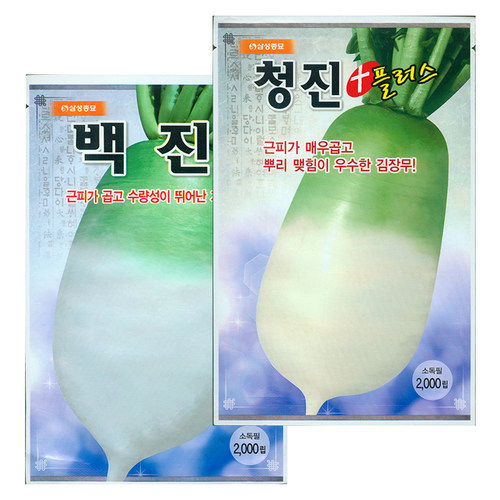 萝卜种子田珍青头首秋季腌泡菜高产韩国大白罗卜莱孑蔬菜种籽寿光 - 图3
