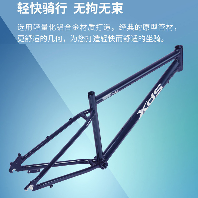 xds喜德盛cr300平把8速公路车 xds喜德盛公路自行车