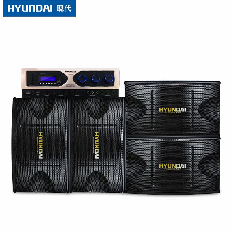 hyundai /现代家用套装会议音响 汇鸿海电器KTV/卡拉OK音箱