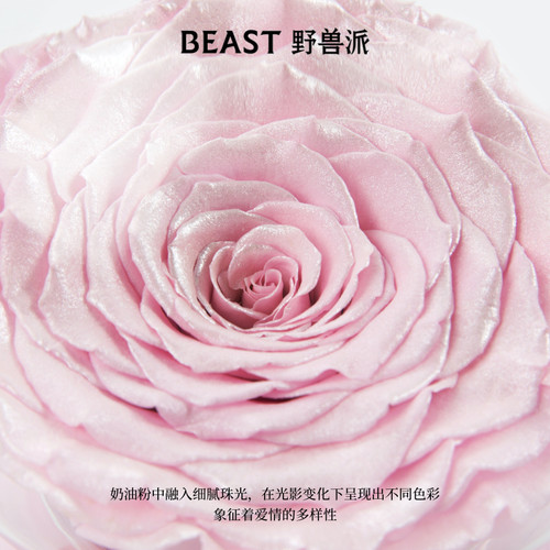 野兽派音乐水晶球玫瑰永生玫瑰花礼盒生日新婚礼物 - 图0