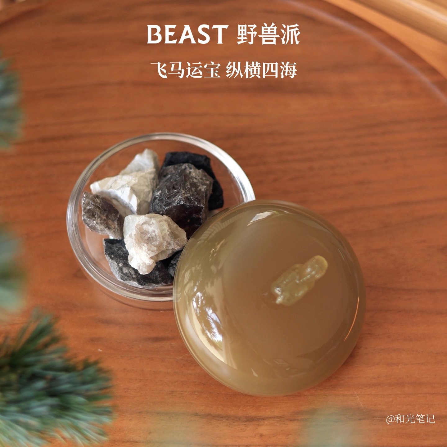 【新年礼物】野兽派晶石香罐扩香礼盒无火香薰节日生日礼物,淘宝优惠券,粉丝福利购,淘宝优惠卷