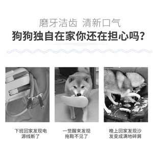 金多乐狗狗零食钢骨磨牙棒去口臭洁齿骨小型犬泰迪博美宠物零食