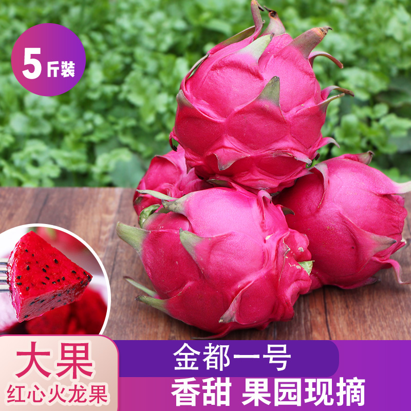 金江食品专营店蜜宝红心火龙果新鲜包邮 5斤金都一号红肉大果当季现摘整箱实惠装0