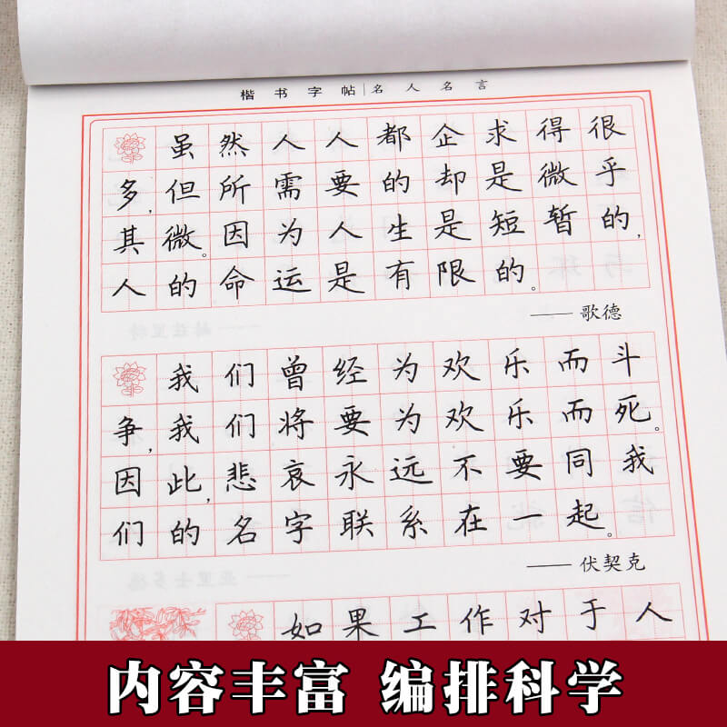 名人名言田英章楷书字帖学生实用字帖 同步临摹楷体硬笔书法字帖练习本练字小学生中学生楷体钢笔铅笔速成练字帖HC - 图2