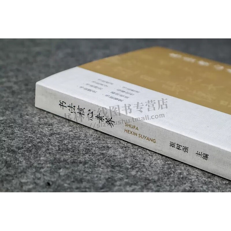 书法核心素养入门读物 崔树强 著 中国书法简史理论美学书法批评鉴赏技法临摹创作教程书籍 江西美术出版社