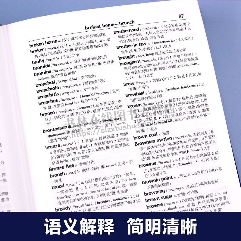 牛津学生英汉词典 第2版 中小学生实用工具书籍 汉英互译 英汉互译 英文英语双解大字典 四川辞书出版社