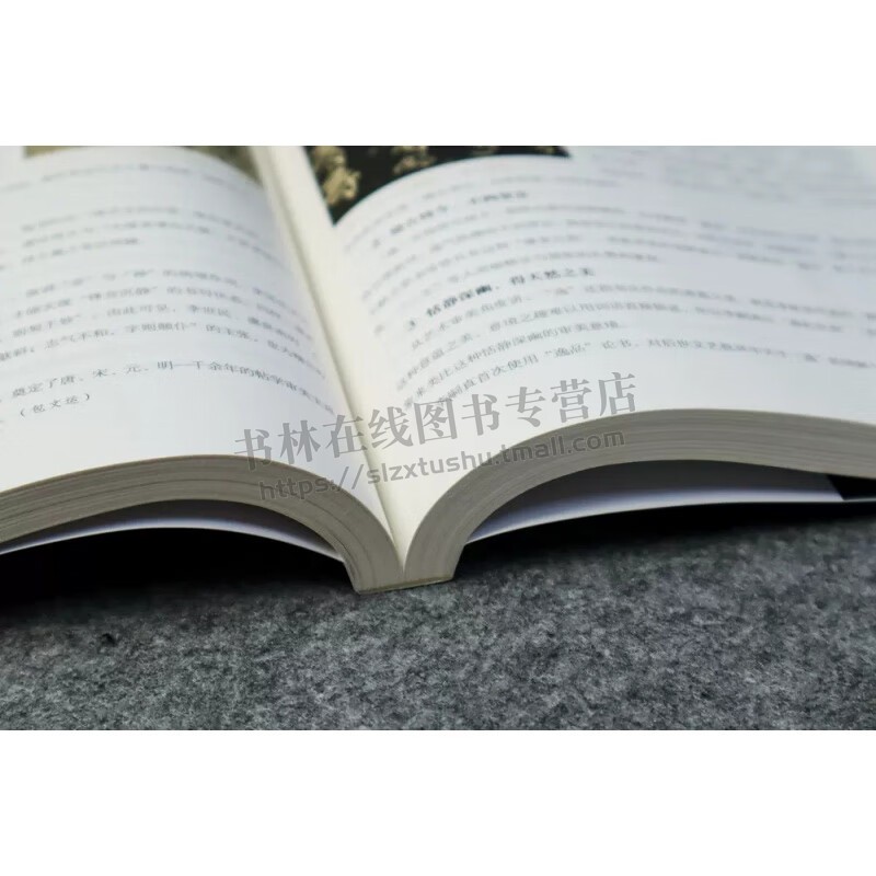 书法核心素养入门读物 崔树强 著 中国书法简史理论美学书法批评鉴赏技法临摹创作教程书籍 江西美术出版社