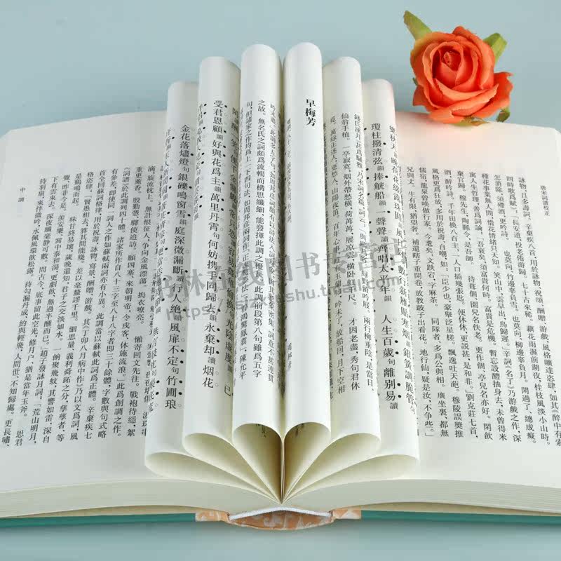 唐宋词谱校正 修订本(精装) 谢桃坊 编著 中国古典小说词学研究填词书籍 填词之艺术借监 书末附录复原之宋人词韵 上海古籍出版社