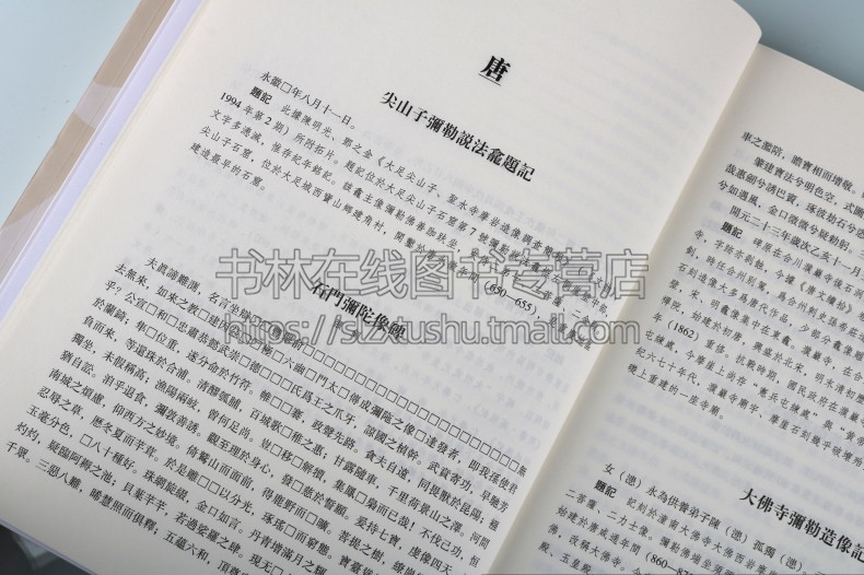 巴渝见在佛教碑题辑录 重庆市辖区碑刻墓塔造像文人题刻游记大足石刻佛教碑刻文献拓片文物考古学术研究书籍
