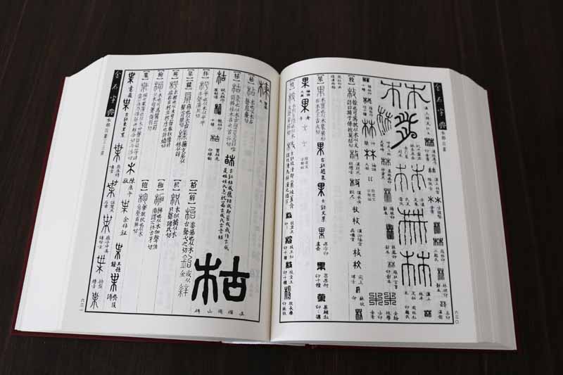 金石字典 中国书店 汤成沅 著 正版书籍 小篆印篆金文篆刻篆书大字典 书法工具书字典 中国书店出版社