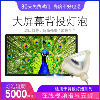 海田 jvc背投电视灯泡 海田浪三灯泡