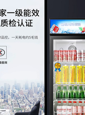 海浪展示柜立式冰柜单门饮料柜