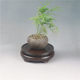 New Chinese style rotatable ornament base