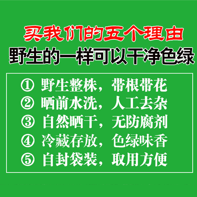 野生蒲公英茶整根株正品特新鲜晒干货级女性坐浴婆婆丁带中草材浦-图2