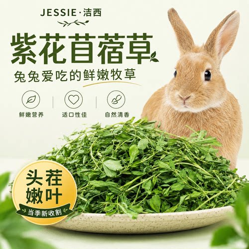 2025头茬紫花苜蓿草干草兔子粮草龙猫荷兰猪饲料烘烤牧草1000克 - 图2