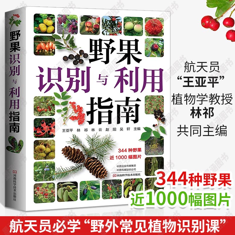 野果识别与利用指南+野菜轻图鉴全2册常见野果名称品种识别要点分布生境食用部位方法食疗保健与药用功能注意事项野果鉴别书籍-图0