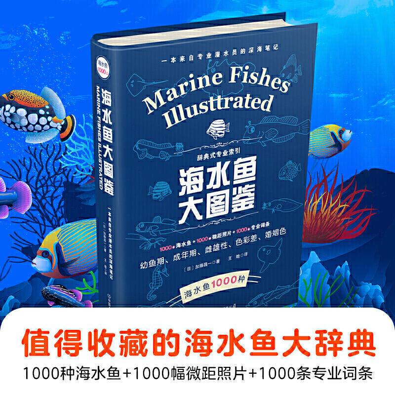 海水鱼大图鉴 1000种深海鱼成长图鉴大全大太平洋 海洋动物4K图鉴书海洋世界儿童书揭秘海洋百科全书海底生物彩色图鉴书籍 - 图2