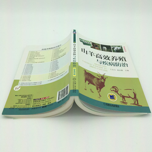 山羊高效养殖与疾病防治 养羊技术大全书籍 羊病诊疗与处方手册全书兽医实用预防诊断科学生态饲养黑山羊波尔山羊牛羊病基础知识书
