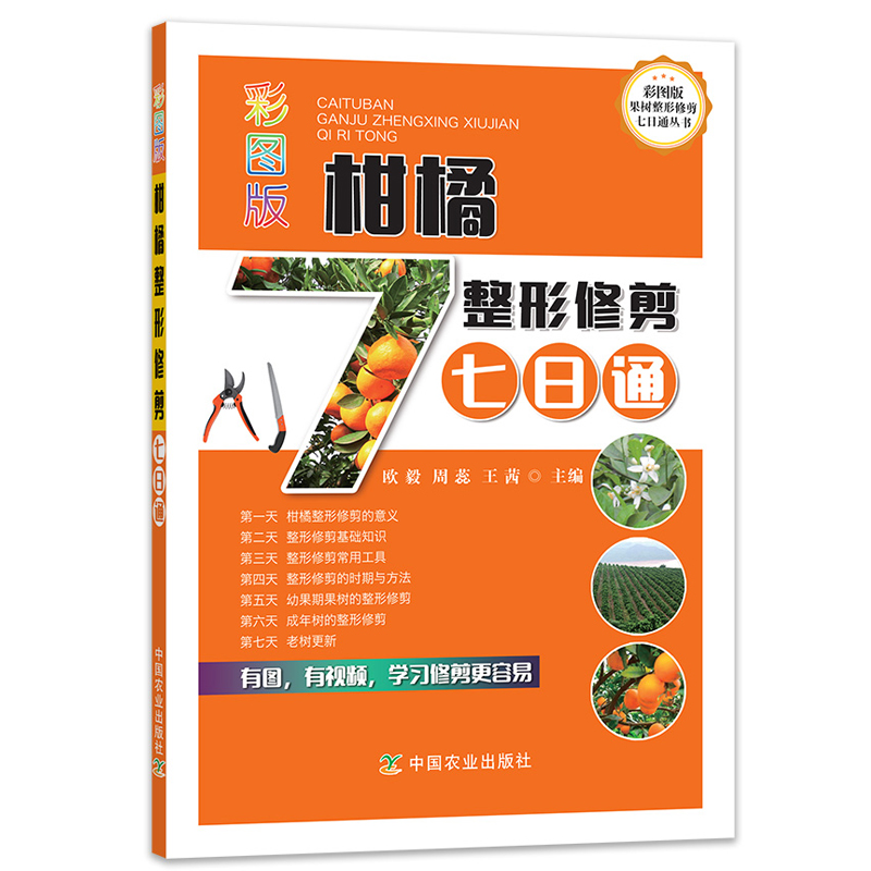 柑橘种植技术书籍4册果树橘子桔子修剪农业种植管理技术高效栽培大全书病虫害防治生产精细管理十二个月绿色防控彩色图谱七日通-图2