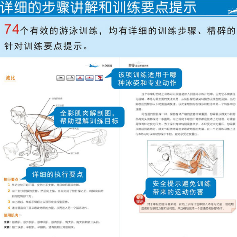 游泳运动书游泳运动系统训练游泳专业训练书籍自由泳蛙泳蝶泳精准训练方法计划游泳自由泳技术游泳运动从入门到精通游泳自学教程-图1