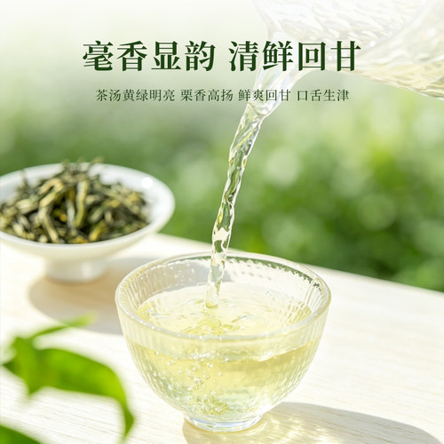 永川秀芽绿茶100g重庆特产明前毛峰高山春茶叶重庆茶业2026新茶 - 图1