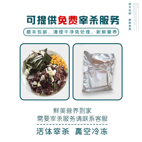 仙湖甲鱼2.5斤汉寿甲鱼6年生态仿野外生长水鱼生鲜家人调理送礼 - 图1