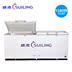 tủ đông inverter đứng Sui Ling BD-1580T l tủ đông lạnh siêu lớn thịt đông lạnh đông lạnh tủ lạnh hải sản tủ lạnh thương mại - Tủ đông tu lanh sanaky Tủ đông