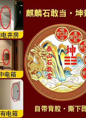 开门见电井麒麟石敢当解决入户大门对电井房配电箱五帝钱坤卦牌门