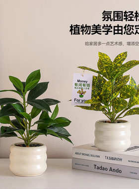 仿真绿植盆栽摆件高级感玄关客厅餐桌电视柜装饰假花摆设乔迁礼物