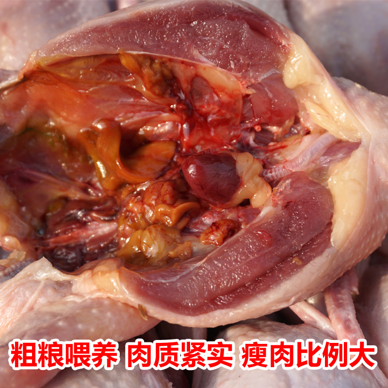 鹌鹑肉新鲜现杀速冻鹌鹑白条鹌鹑烧烤食材酒店批发生骨肉20只 - 图0