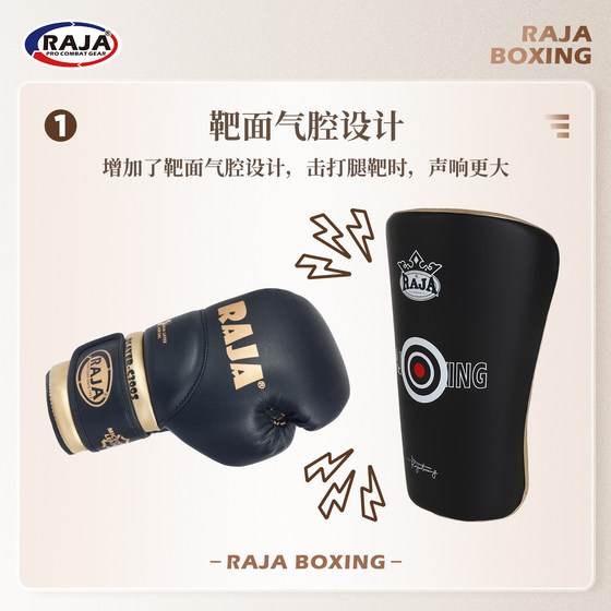 Raja professional boxing gloves kraft target leather