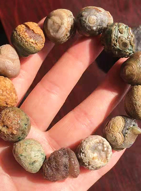 金钱石手链阿拉善奇石原籽筋脉