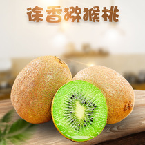 Shaanxi Week To Macaque Gooseberry Xu Fragrant Kiwi Fruit with Season Fruit Chieca