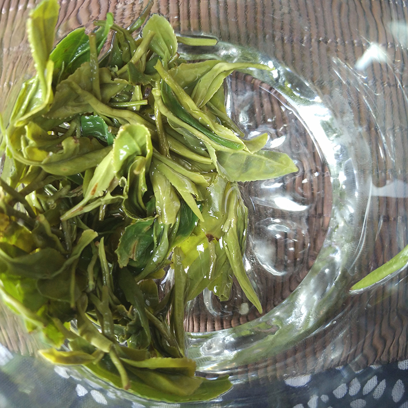 日照绿茶2024新茶叶春茶明前特级豆香板栗浓香山东散装礼盒装500g - 图2