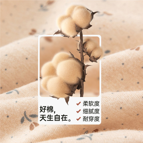 顶瓜瓜品牌女士彩棉内裤纯棉抗菌裆透气舒适打底三角底裤青年中高 - 图2