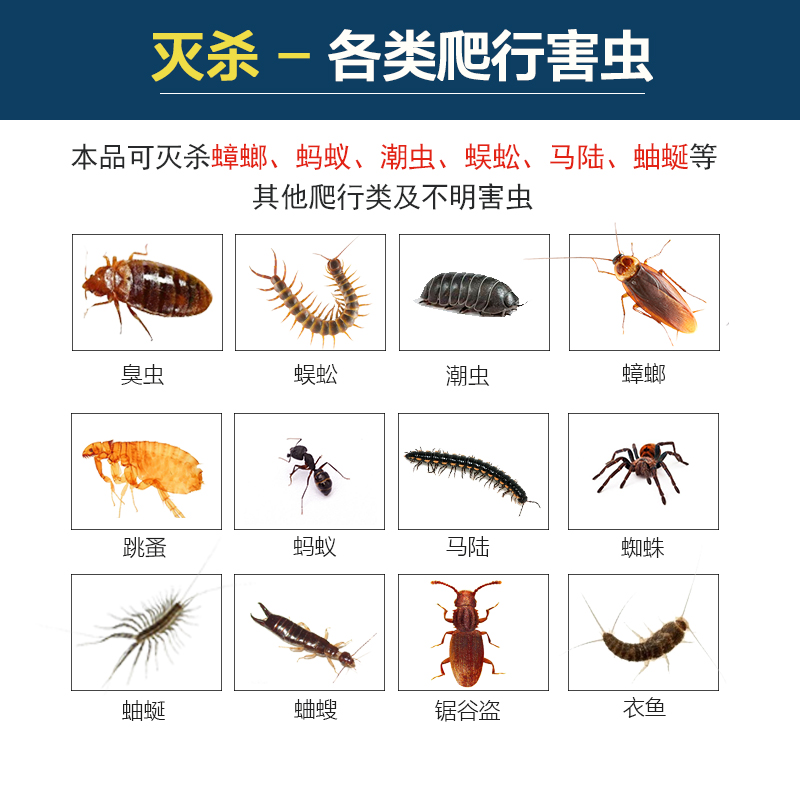 灭白蚁药杀防治药粉家用室内杀虫剂 兆吉家居灭鼠/杀虫剂