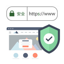 Быстро подайте заявку на сертификат ssl совместимый со всеми замками браузера URL-адреса шифрования домена https