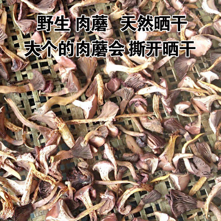 承德农家红肉蘑菇 食用菌红肉蘑菇松树伞蘑菇干货半斤/一斤包邮