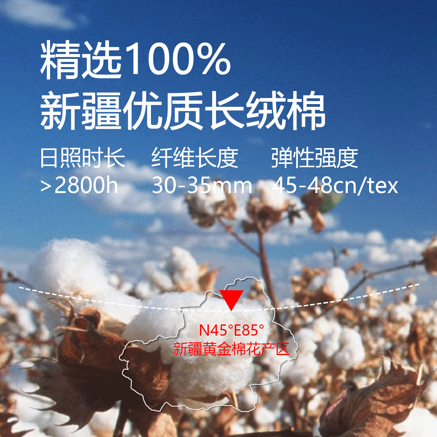 新疆一级长绒棉被纯棉花被子被芯加厚保暖冬被棉絮床垫被褥子铺底,淘宝优惠券,粉丝福利购,淘宝优惠卷