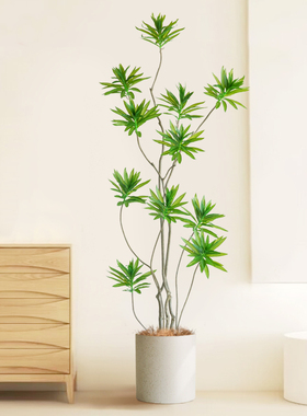 大型仿真绿植仿生盆栽轻奢百合竹