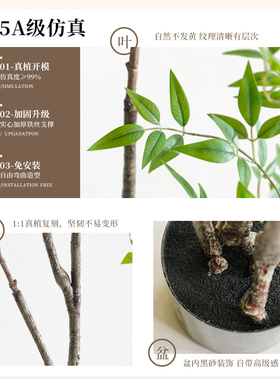南天竹仿真绿植高端轻奢大型仿生假树绿植物装饰室内客厅造景摆件