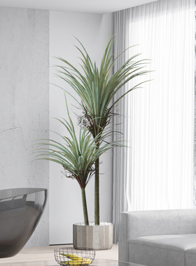 仿真绿植盆栽室内大型龙须树植物