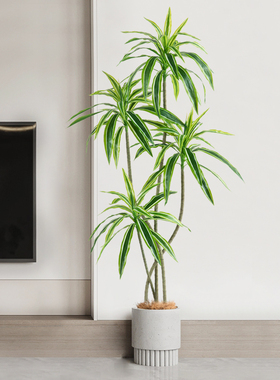 仿真绿植假植物龙血树客厅装饰